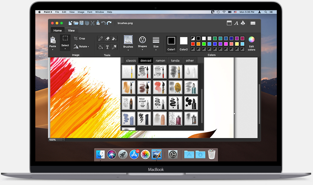 paint for mac free download